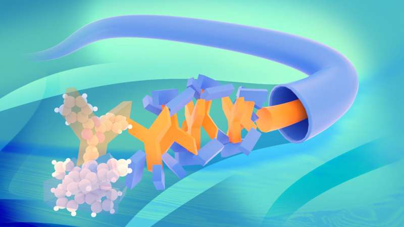 Molecular highway for electrons in organic light-emitting diodes
