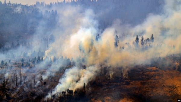 The Park Fire burns near Butte Meadows, California, July 29, 2024.