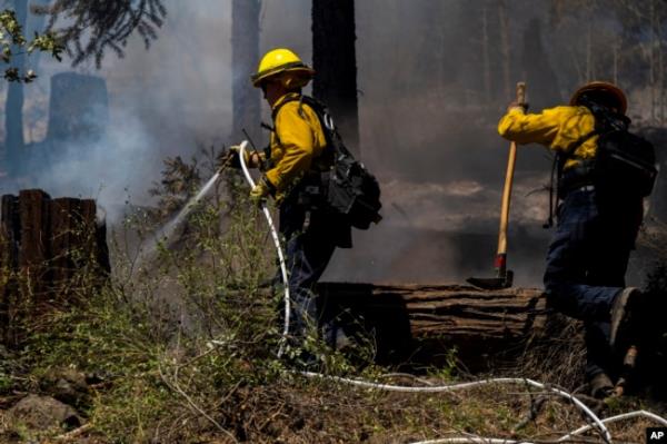 Firefighters put out hot spots from the Park Fire near Forest Ranch, California, July 30, 2024.