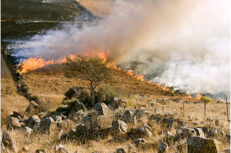 bush fire