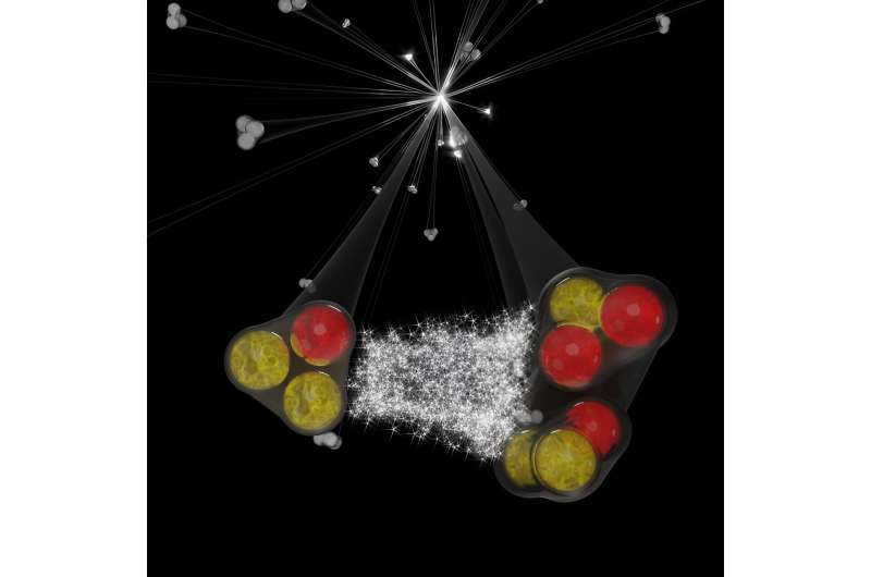 ALICE probes the strong interaction three-body problem with new measurements of hadron–deuteron correlations