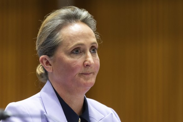 Vanessa Hudson will offer herself up for election at Qantas’ upcoming AGM in November.