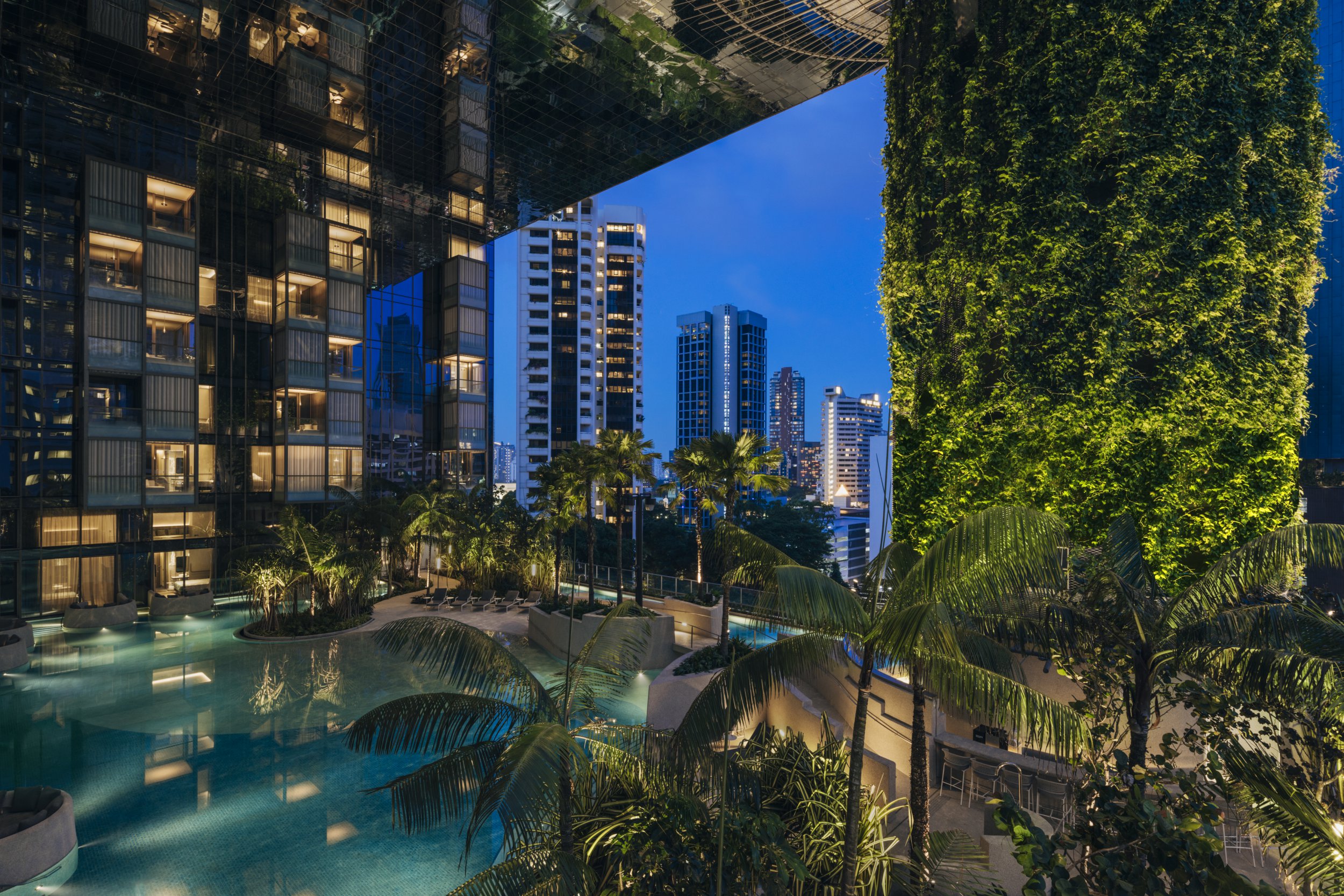 The pool surrounded by palm trees