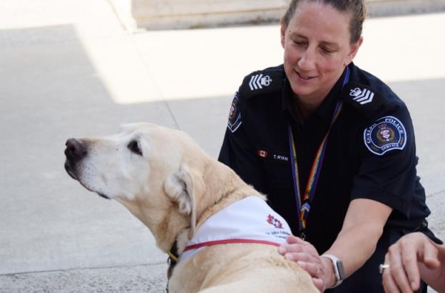 穿警服的女性抚摸一只黄色拉布拉多犬