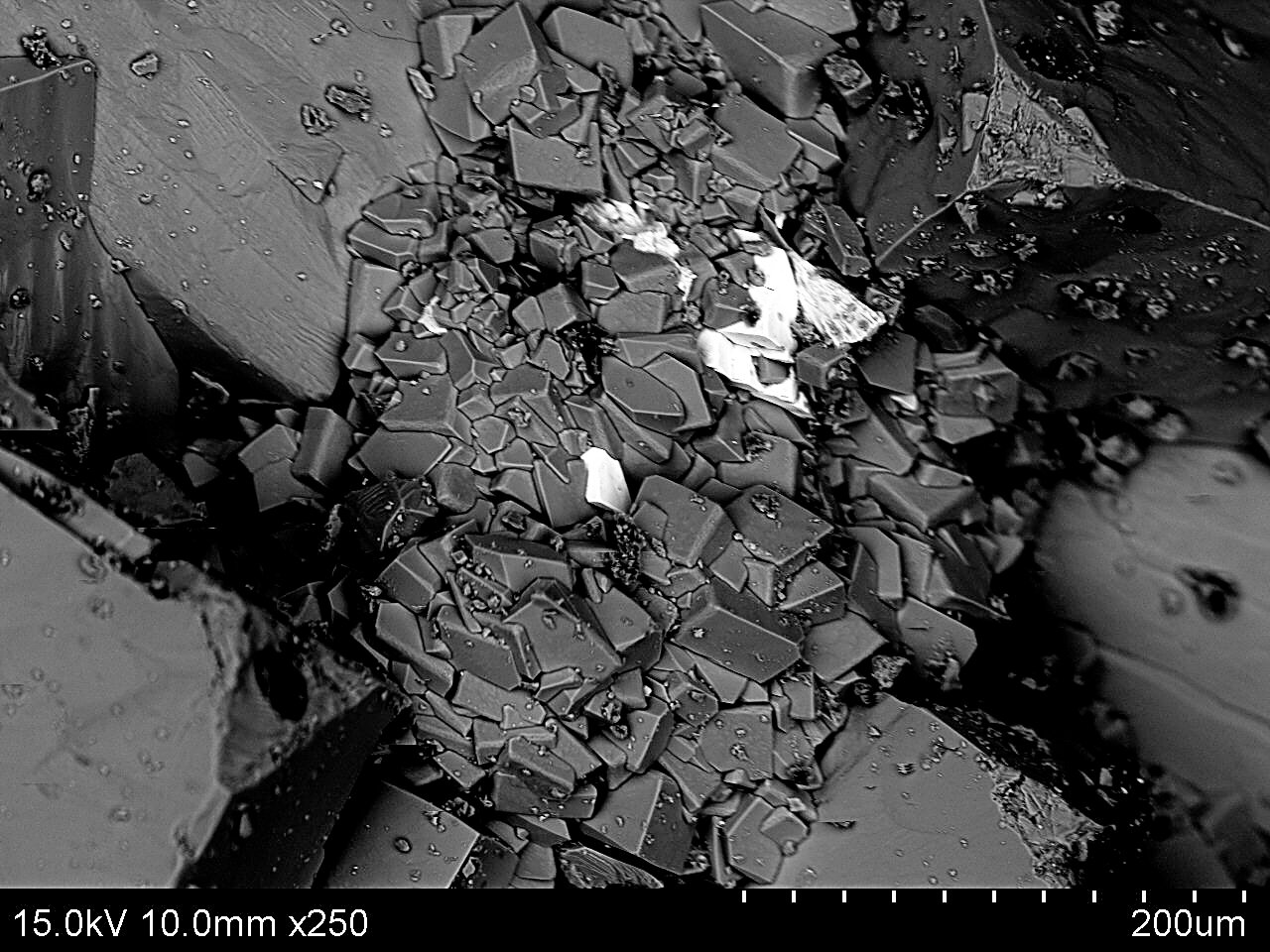 First evidence of life colonizing deep into the bedrock of Greenland