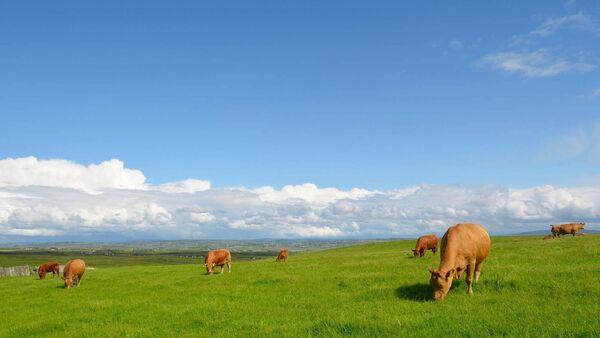 5,636 farmers miss out on SCEP scheme