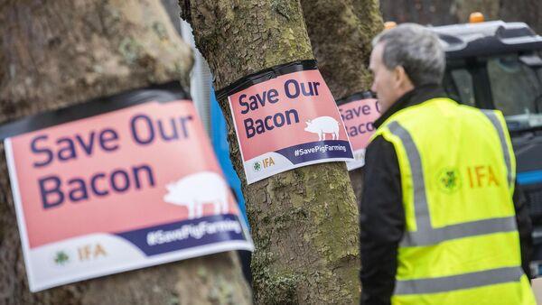 Drops in pig price could result in 'a threat to Ireland's food security'