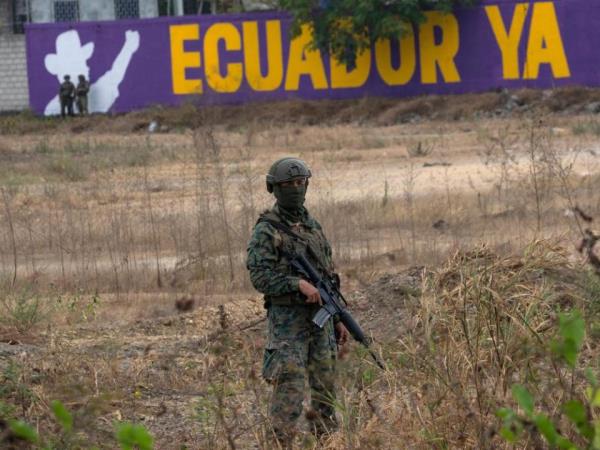 A soldier stands guard in a field with a wall painted behind him