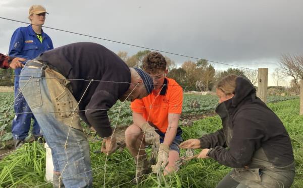 Members of the Handy Landys club work in Hawke's Bay.