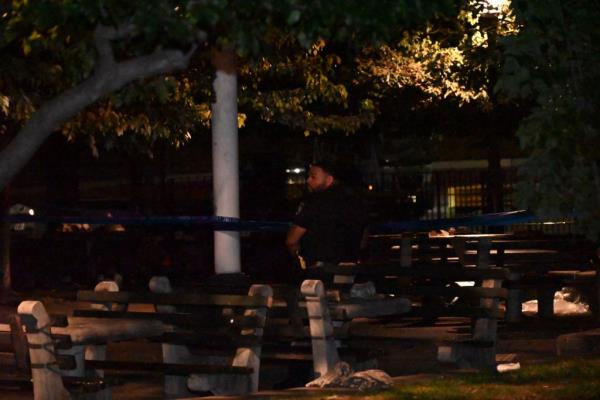 Mitchell denied owning or shooting a gun, and said he was only peeing in the parks when he heard a "pop," according to court papers.