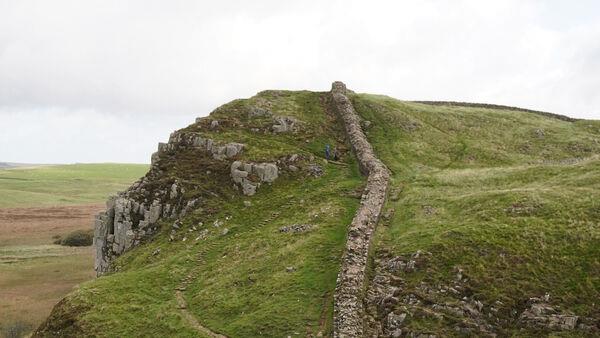 Hadrian’s Wall was damaged by felled Sycamore Gap tree, experts say