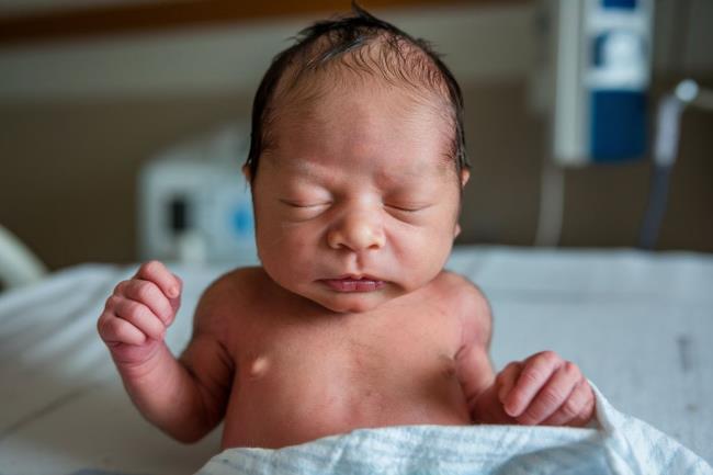 30-facts-about-vitamin-a-embryopathy