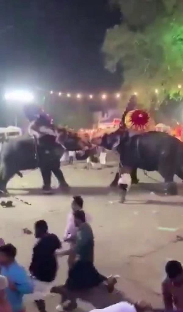 Two elephants begin fighting each other at the Tharakkal temple festival in Kerala, southern India. Shocking video shows enraged elephants locking horns in the middle of a festival - while carrying people on their backs. The two elephants became spooked during the Tharakkal temple festival in Kerala, southern India on March 22. The video shows the elephants locking horns before running off - while carrying riders. onlookers panicked and were seen fleeing to avoid being caught up in the chaos.