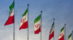 Iran will retaliate against any Israeli attack on energy sector – source to RT