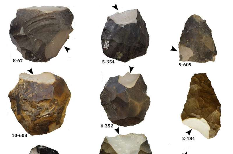 Early humans in the Hula Valley invested in systematic procurement of raw materials hundreds of thousands of years ago – much ea