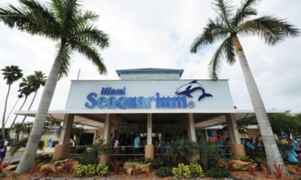 building flanked by palm trees with sign reading miami seaquarium
