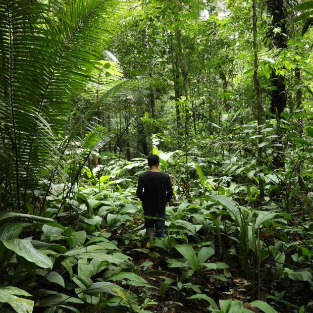 An indigenous Tikuna man in the Amazon rainforest in Colombia. Image by Rhett A. Butler/Mongabay.