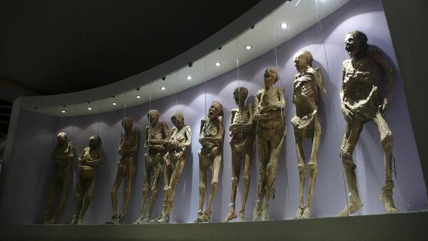 Fury at Mexican government after ancient mummy loses arm in renovation bungle