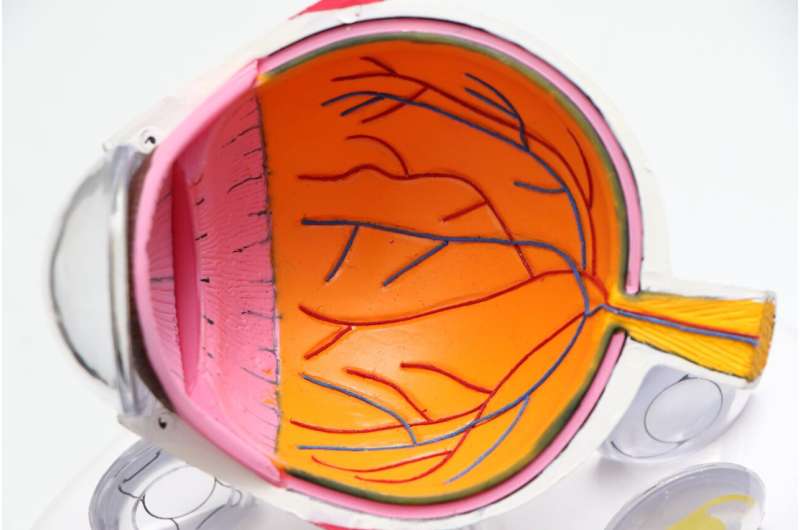 diseased retina