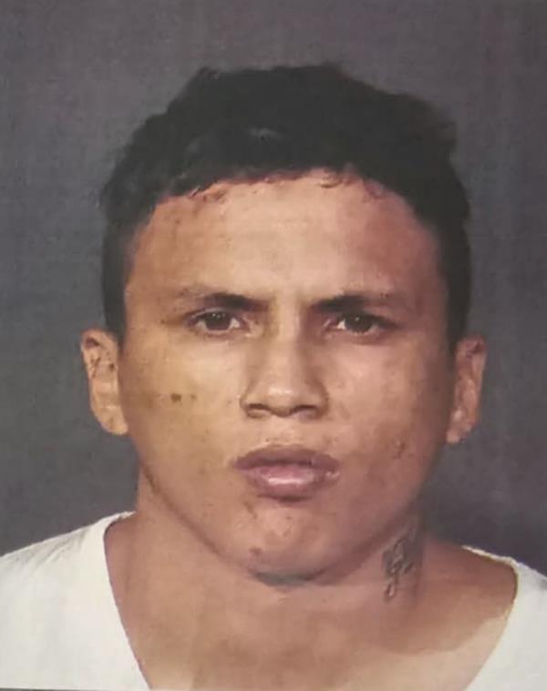 Walter Almachi Leal