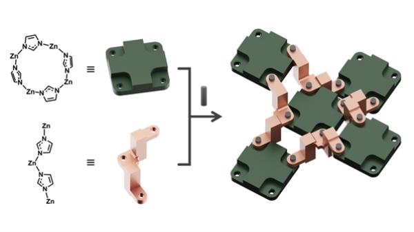 Figure 1. Scheme to build a rotary machine at the molecular scale