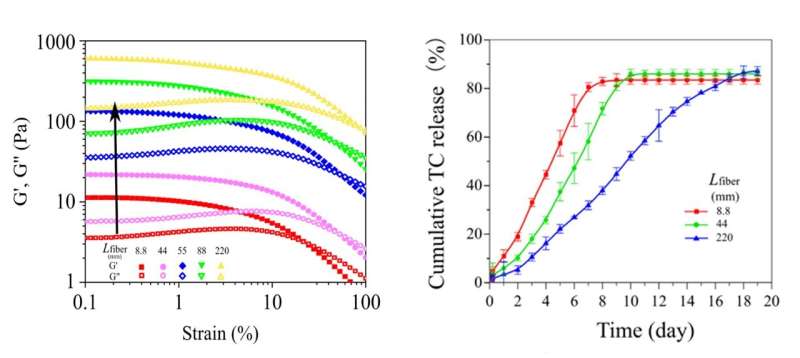 香港大学生物医学工程与香港大学深圳医院及普林斯顿大学合作揭示突破性进展