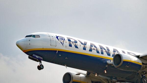 Ryanair shares dive 5% as booking websites withdraw Christmas flights 