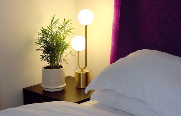 Green ideas for you and your family this festive season