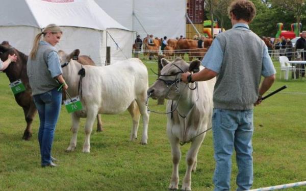 New Zealand Agriculture Show 2023.