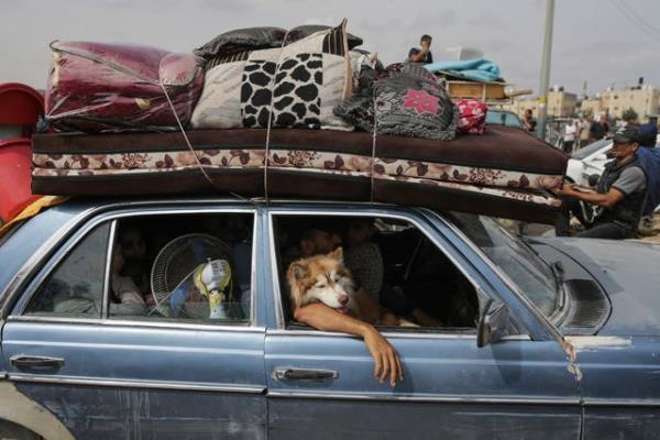 Pictures of the Week Global Photo Gallery