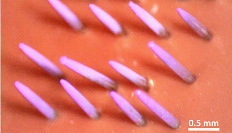 Scientists develop efficient spray technique for bioactive materials