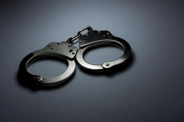 Four detained over suspected burglar's death