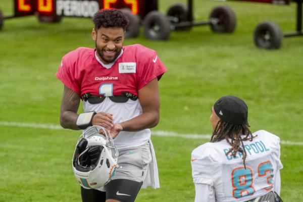 Germany Dolphins Football