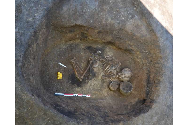 Researchers extract ancient DNA from a 2,900-year-old clay brick, revealing a time capsule of plant life