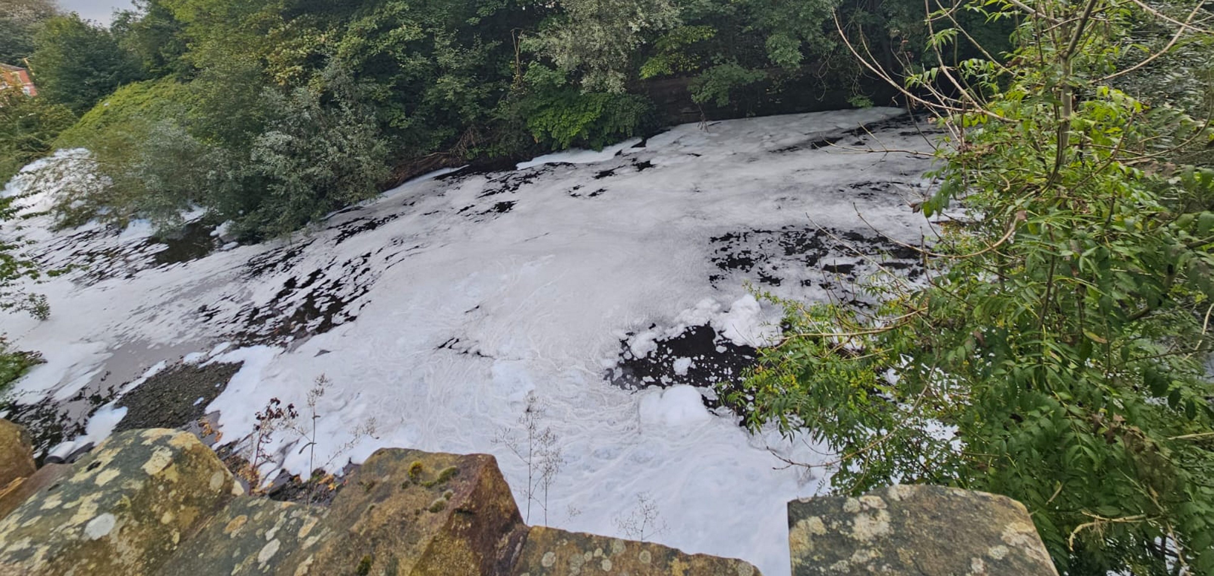 The Environment Agency is carrying out an investigation (Picture: Sam Pedder / SWNS)