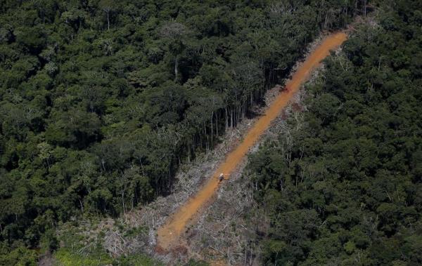 ‘Narco-deforestation’ in focus at upcoming summit of Amazon nations