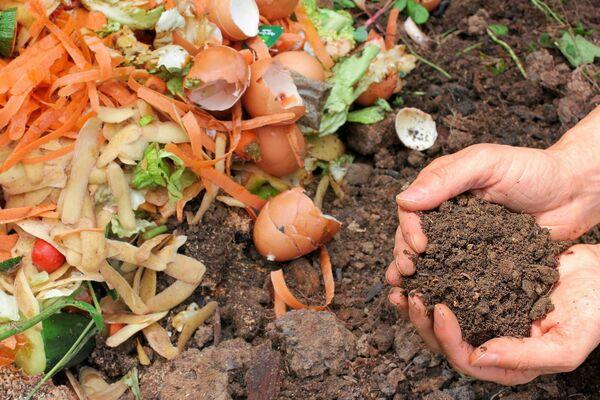 Composting our kitchen scraps will give us healthy soil and reduce unnecessary landfill waste. Composting our kitchen scraps will give us healthy soil and reduce unnecessary landfill waste.