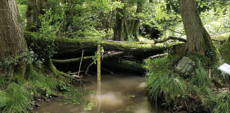 Why beaver-like dams can protect communities from flooding—new research