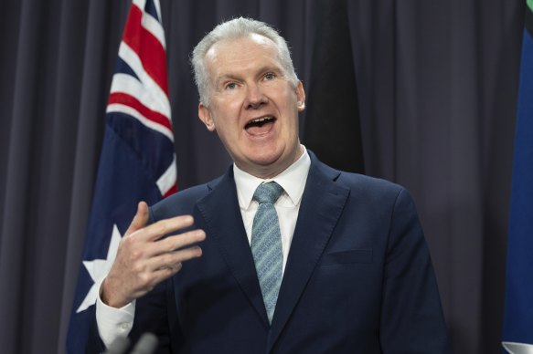 Immigration Minister Tony Burke will have to sign off on every Gazan refugee allowed to stay in Australia on a temporary humanitarian visa.