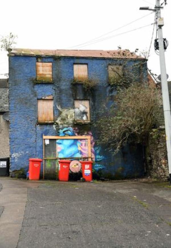 The derelict site near Broad Lane, Blackpool, Cork. Picture: Denis Minihane The derelict site near Broad Lane, Blackpool, Cork. Picture: Denis Minihane