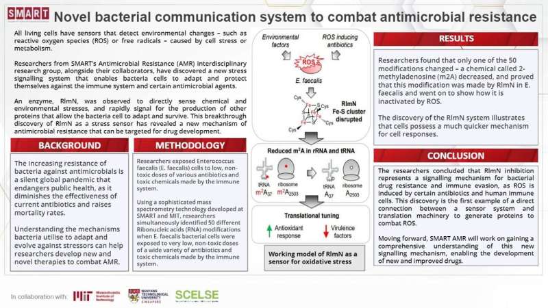 SMART researchers uncover novel bacterial communication system to combat antimicrobial resistance