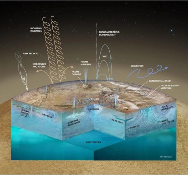 Europa cutaway.