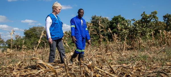 WFP Executive Director Cindy McCain checks out the devastation wrought by an El Niño-intensified drought in Zambia. WFP Executive Director Cindy McCain checks out the devastation wrought by an El Niño-intensified drought in Zambia.