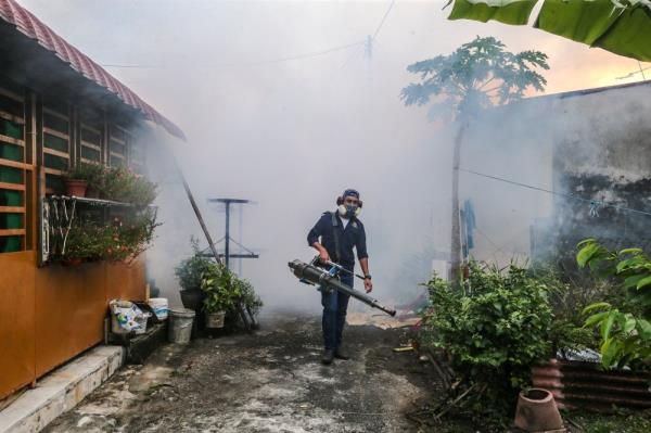 Health Ministry: 2,248 dengue cases recorded from August 13 to 19