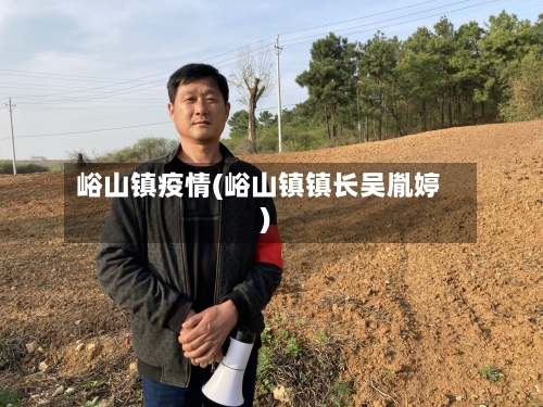 峪山镇疫情(峪山镇镇长吴胤婷)