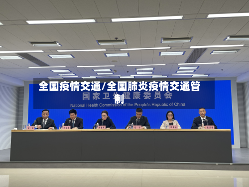 全国疫情交通/全国肺炎疫情交通管制