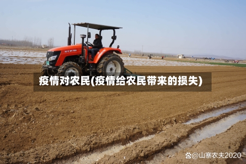疫情对农民(疫情给农民带来的损失)-第2张图片