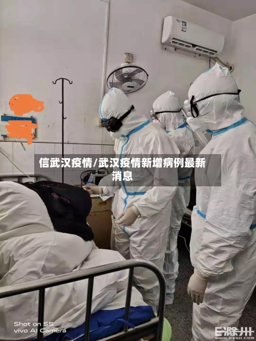 信武汉疫情/武汉疫情新增病例最新消息-第2张图片