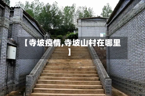 【寺坡疫情,寺坡山村在哪里】-第3张图片