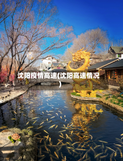 沈阳疫情高速(沈阳高速情况)-第2张图片